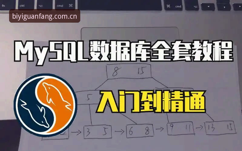 必一运动平台v2.3.1新版上线：官网入口教程与赛事数据全解析